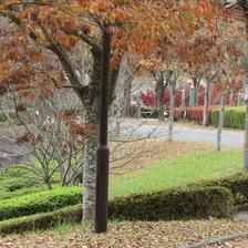 2021 勝北総合スポーツ公園の紅葉