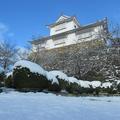 2021 雪の津山城（鶴山公園）