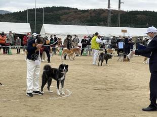 akitainu2021-12.jpg