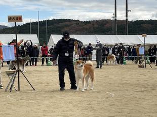 akitainu2021-18.jpg