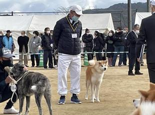 akitainu2021-21.jpg