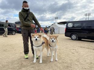 akitainu2021-25.jpg