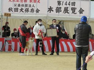 akitainu2021-28.jpg