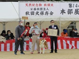 akitainu2021-33.jpg