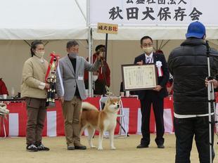 akitainu2021-37.jpg