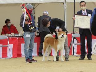 akitainu2021-40.jpg