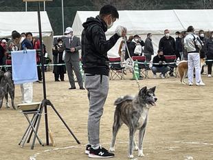 akitainu2021-6.jpg