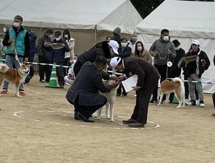 akitainu2021-7.jpg