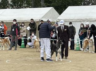 akitainu2021-8.jpg