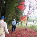 つながる「出雲街道(Ⅱ)」を歩こう会 万能乢コース(2)