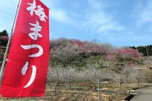 3-16umematsuri1.jpg