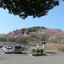 2022 梅の里公園 梅まつり（神代）