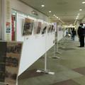 「写真で見る津山」展