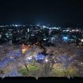 2022年4月 津山の街と夜のさくら