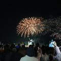 2022年津山城から見る夜桜と花火の共演