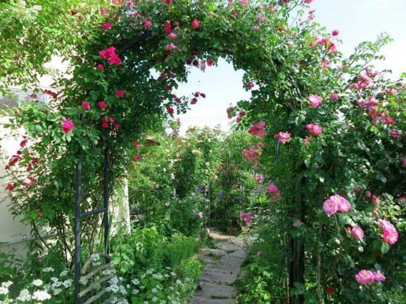 花柄 ビーズのれん スキルスクリーン 手芸 薔薇 アーチ型 昭和のれん ばら 花 611o76XyeRL._AC_UF350,