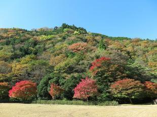 2022-11-7tsugawa21.jpg