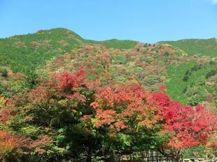 2022-11-7tsugawa7.jpg