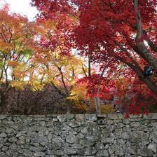 2022 津山城（鶴山公園）もみじまつり