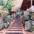 晩秋の横野地区の紅葉