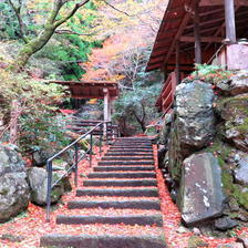 晩秋の横野地区の紅葉