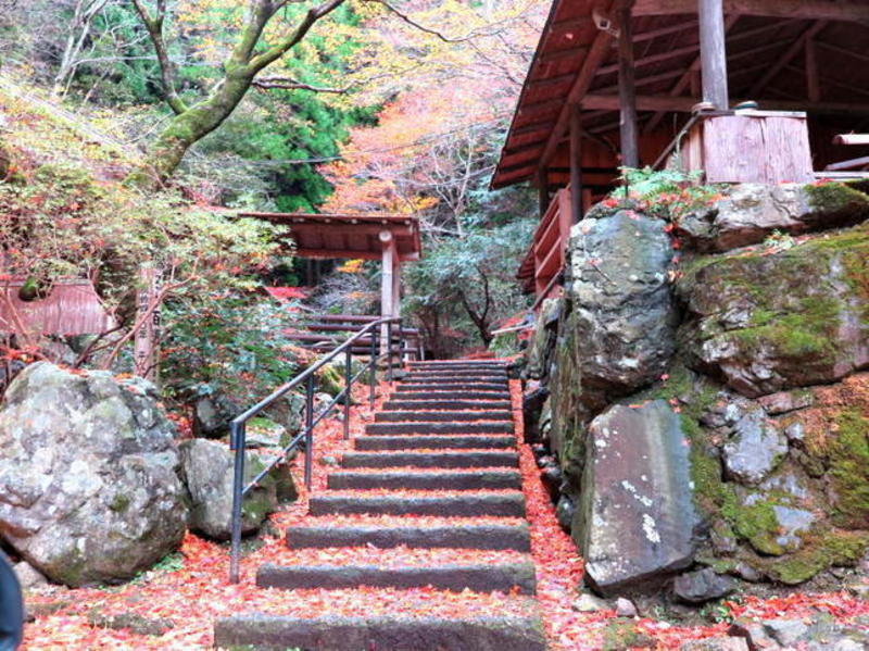 晩秋の横野地区の紅葉 - 津山瓦版