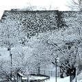 2023年2月　津山城（鶴山公園）の雪景色