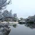 衆楽園  2023二度目の雪景色です。