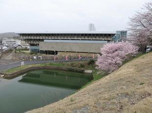 2023-3-25sakura_open17.jpg