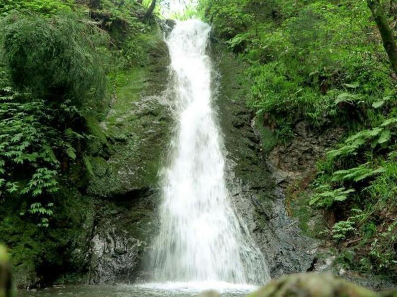 2023yokono18-thumb-645xauto-