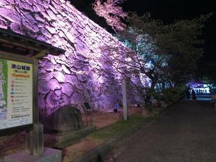 2023-9-23tsuyama_night1.jpg