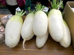 daikon.jpg