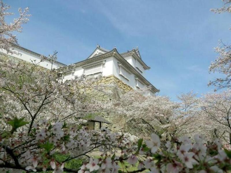 2024-4-10akuzan25-thumb-