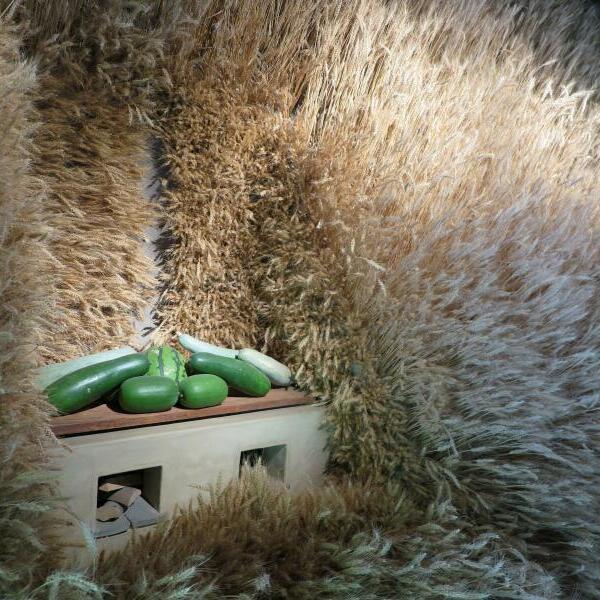 森の芸術祭「城東むかし町家」