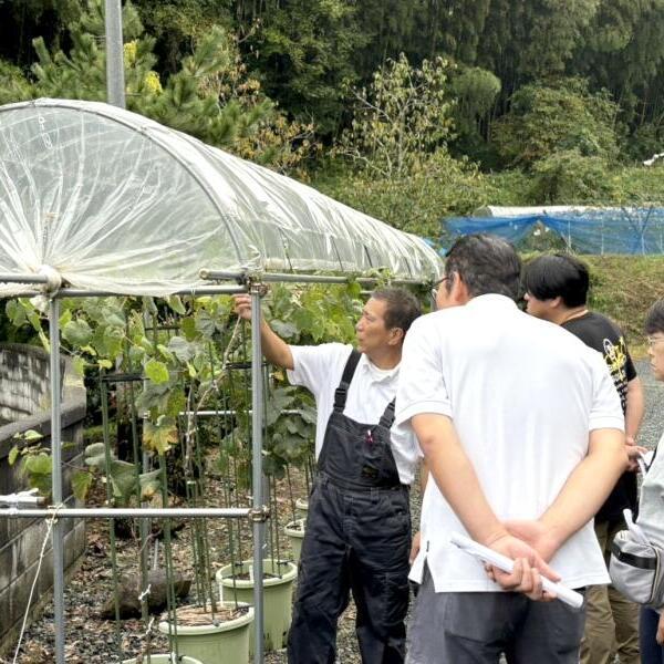 「津山まち博」初めての鉢植え葡萄体験  -入門編-