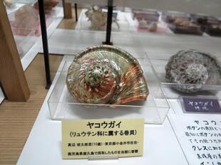 2024-11-20fushigikan10.jpg