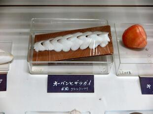 2024-11-20fushigikan11.jpg