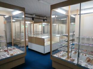 2024-11-20fushigikan12.jpg