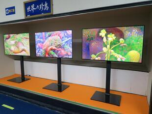 2024-11-20fushigikan15.jpg