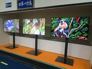 2024-11-20fushigikan17.jpg