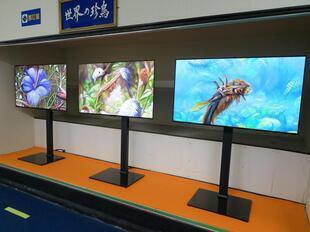 2024-11-20fushigikan18.jpg