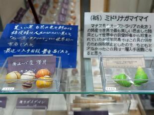2024-11-20fushigikan2.jpg