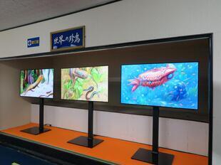 2024-11-20fushigikan20.jpg