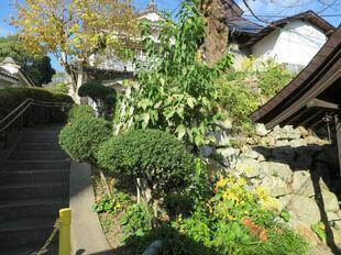 2024-11-20fushigikan6.jpg