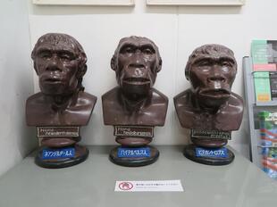2024-11-20fushigikan9.jpg