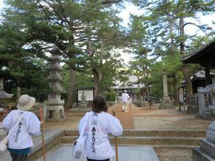 2024-11-7shikoku80-2.jpg