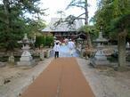 2024-11-7shikoku80-3.jpg