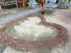 2024-11-7shikoku80-5.jpg