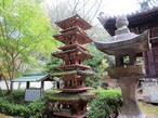 2024-11-7shikoku81-10.jpg