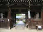 2024-11-7shikoku81-7.jpg